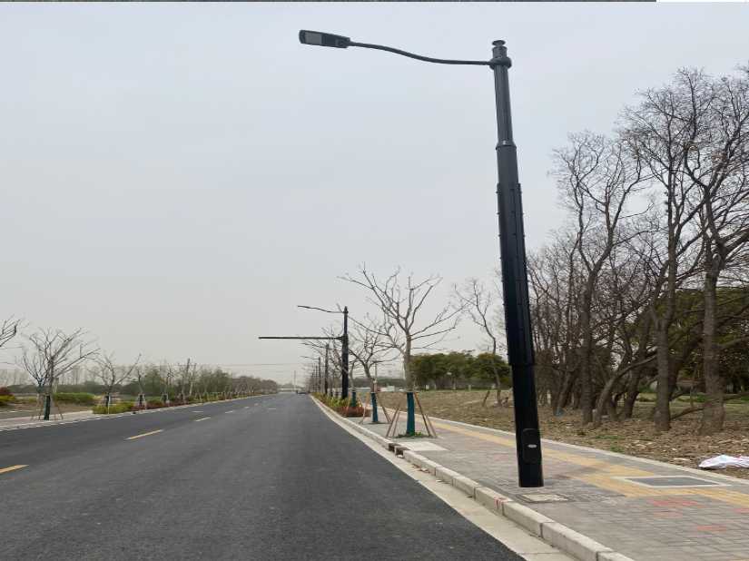 泸州市上海综合杆 太阳能路灯工程